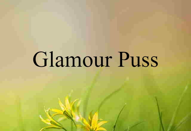 Glamour Puss (noun) Definition, Meaning & Examples