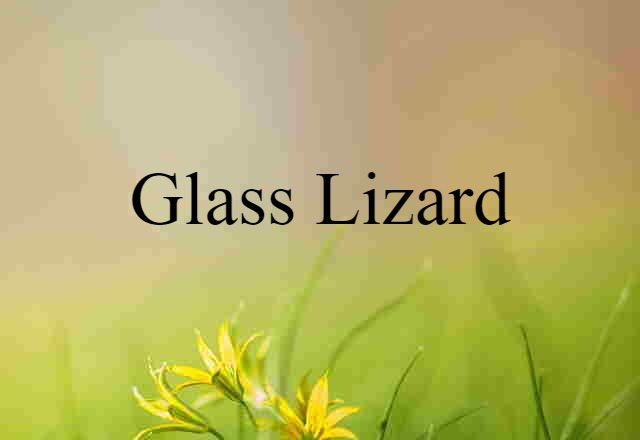 glass lizard