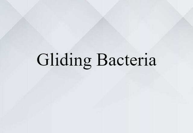 gliding bacteria