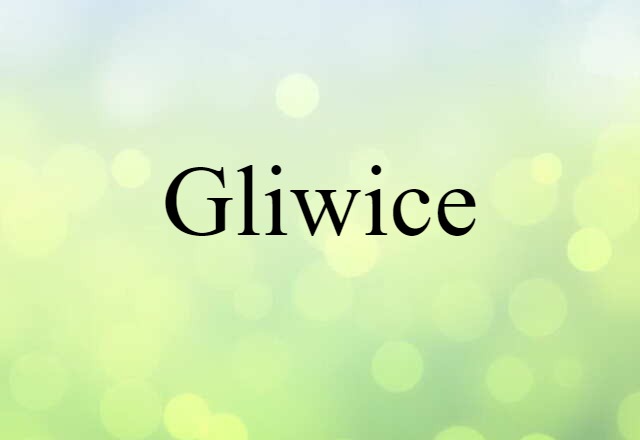 Gliwice (noun) Definition, Meaning & Examples