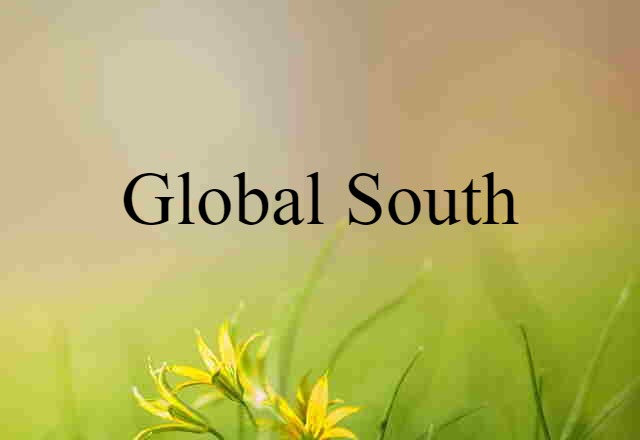 Global South (noun) Definition, Meaning & Examples