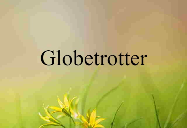 Globetrotter (noun) Definition, Meaning & Examples