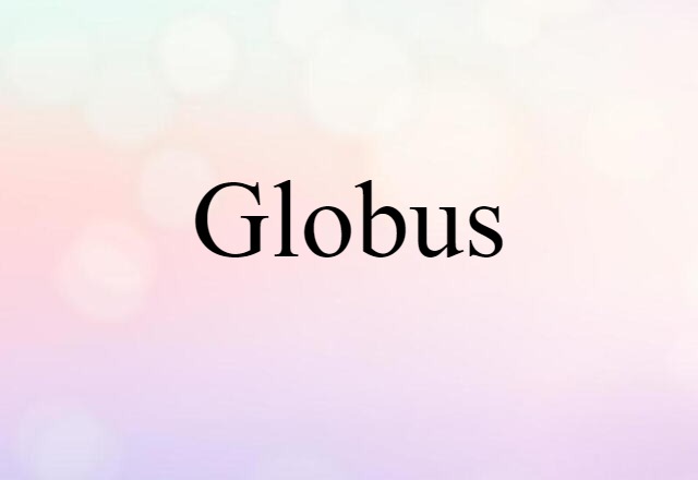 Globus (noun) Definition, Meaning & Examples