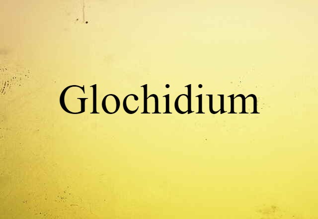 glochidium