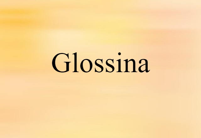 Glossina (noun) Definition, Meaning & Examples