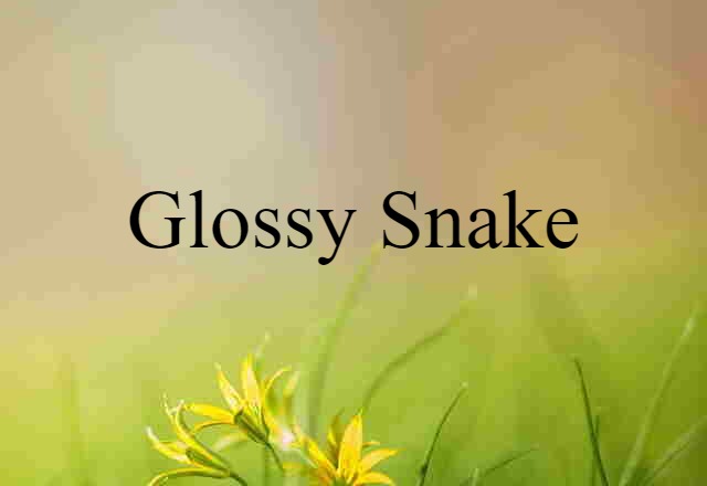 glossy snake