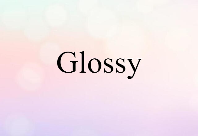 Glossy (noun) Definition, Meaning & Examples