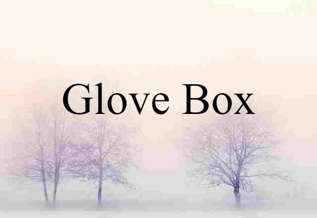 Glove Box (noun) Definition, Meaning & Examples