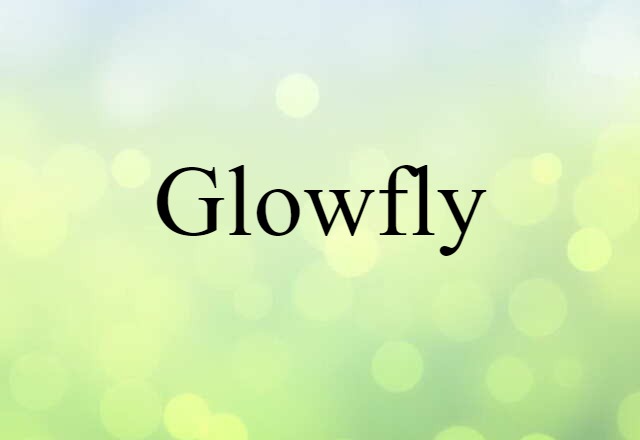 Glowfly (noun) Definition, Meaning & Examples