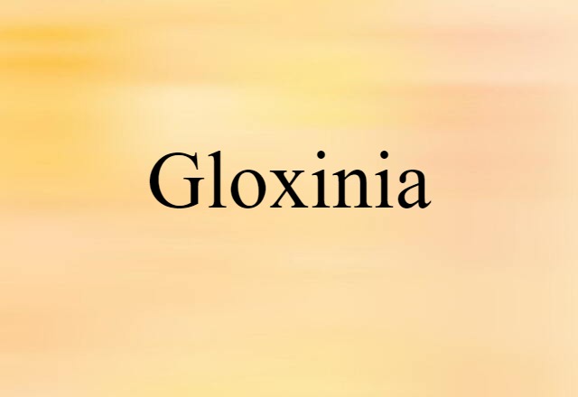 gloxinia