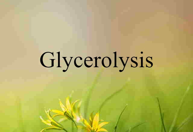 glycerolysis