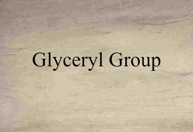 Glyceryl Group (noun) Definition, Meaning & Examples