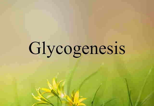 glycogenesis