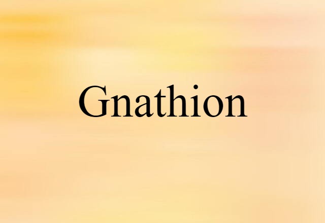 Gnathion (noun) Definition, Meaning & Examples