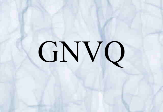 GNVQ (noun) Definition, Meaning & Examples