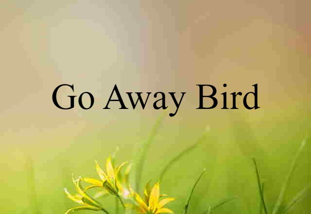 go-away bird