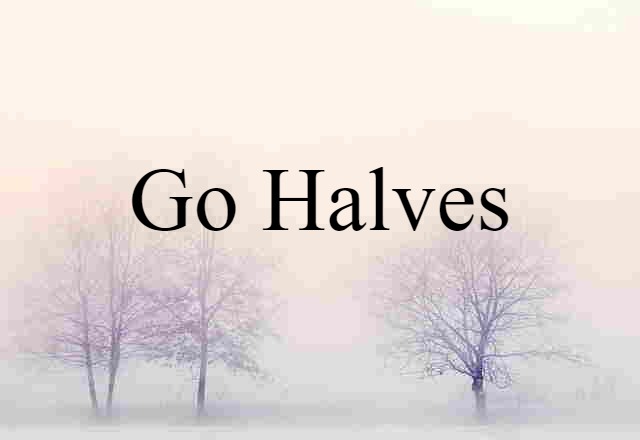 Go Halves (noun) Definition, Meaning & Examples