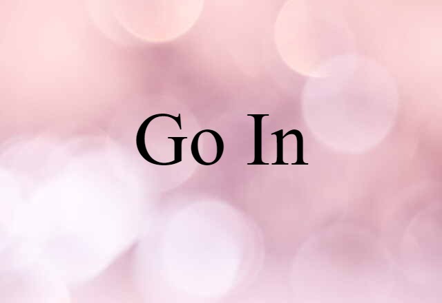 Go In (noun) Definition, Meaning & Examples