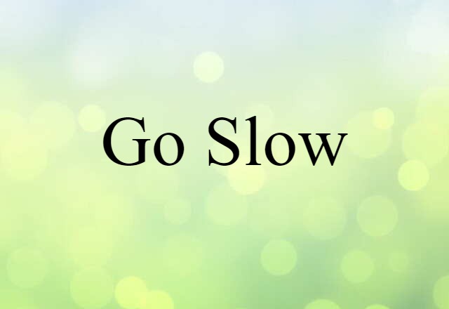 Go-slow (noun) Definition, Meaning & Examples