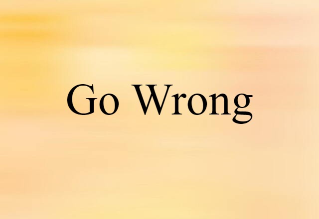 Go Wrong (noun) Definition, Meaning & Examples