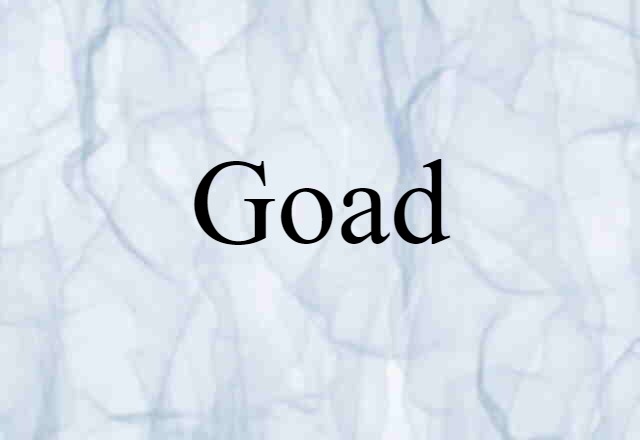 Goad (noun) Definition, Meaning & Examples