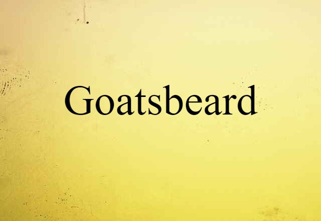 Goatsbeard (noun) Definition, Meaning & Examples