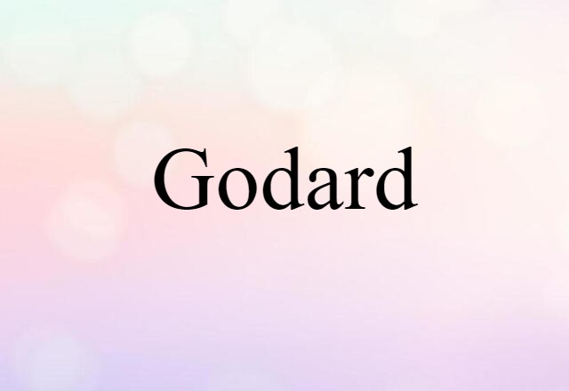 Godard (noun) Definition, Meaning & Examples