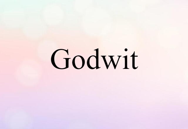 Godwit (noun) Definition, Meaning & Examples