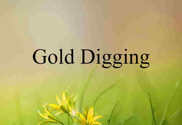 Gold Digging (noun) Definition, Meaning & Examples