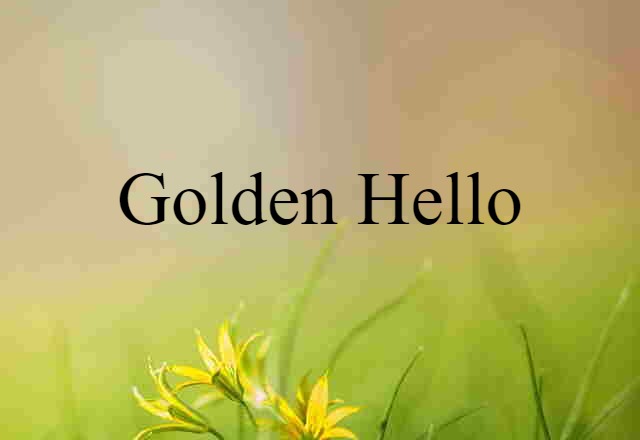 Golden Hello (noun) Definition, Meaning & Examples