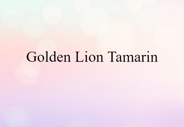 Golden Lion Tamarin (noun) Definition, Meaning & Examples