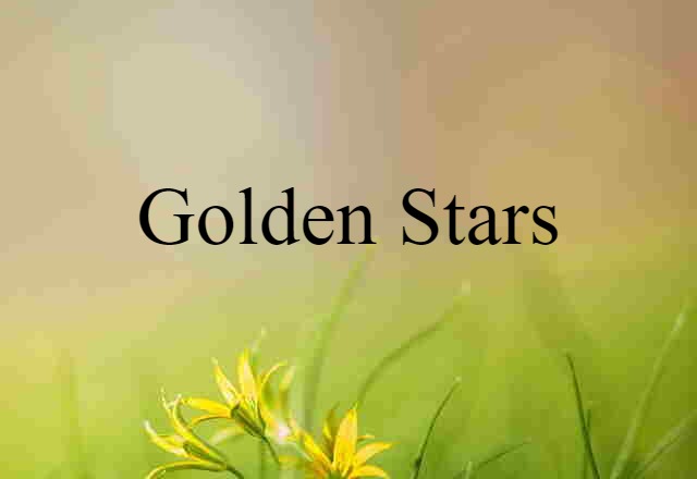 Golden Stars (noun) Definition, Meaning & Examples