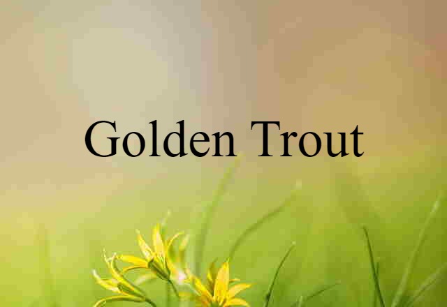 golden trout