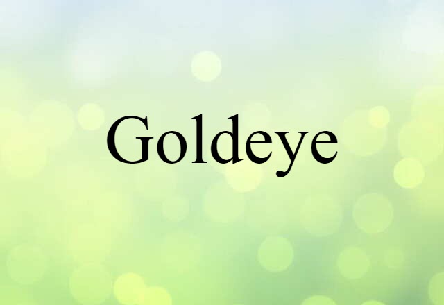 Goldeye (noun) Definition, Meaning & Examples