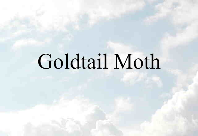 goldtail moth