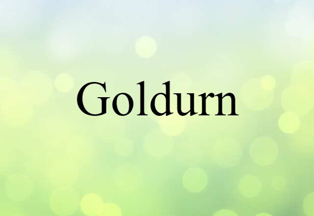 Goldurn (noun) Definition, Meaning & Examples