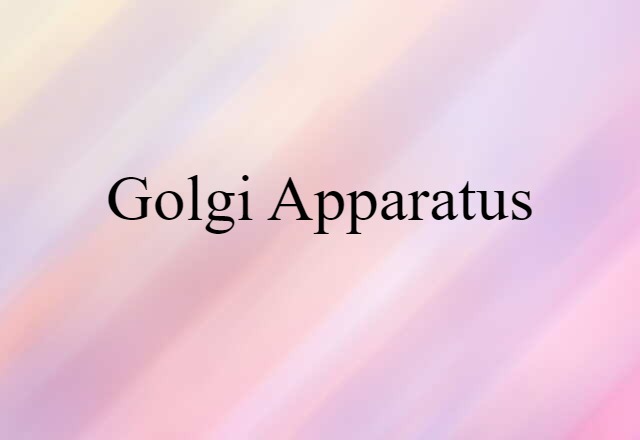 Golgi apparatus