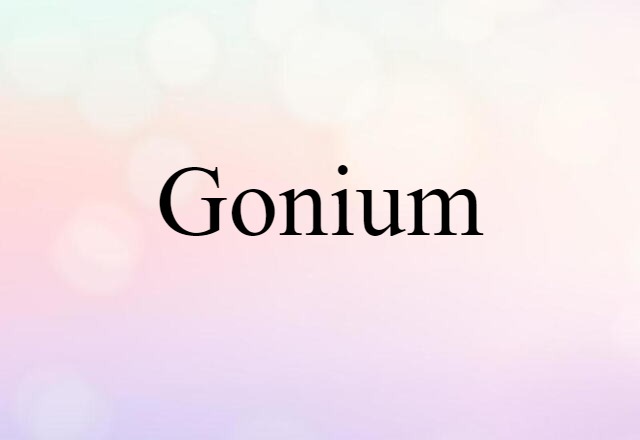 gonium