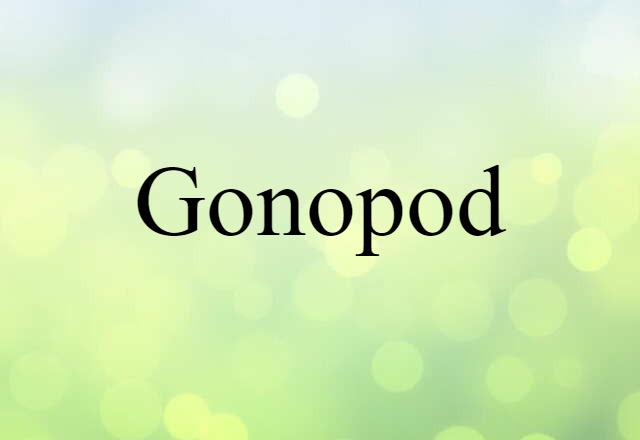 Gonopod (noun) Definition, Meaning & Examples