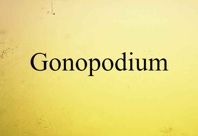 Gonopodium (noun) Definition, Meaning & Examples