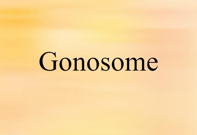 Gonosome (noun) Definition, Meaning & Examples