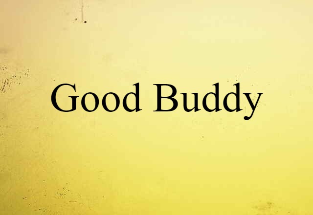 Good Buddy (noun) Definition, Meaning & Examples