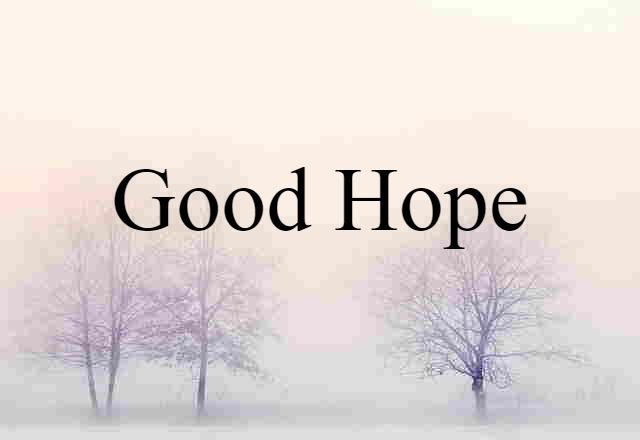 Good Hope (noun) Definition, Meaning & Examples