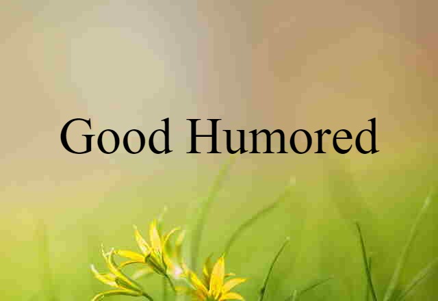 Good Humored (noun) Definition, Meaning & Examples