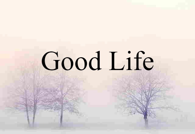 Good Life (noun) Definition, Meaning & Examples