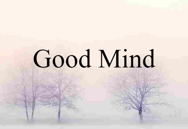 Good Mind (noun) Definition, Meaning & Examples