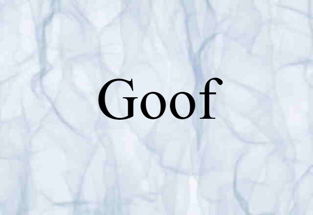 Goof (noun) Definition, Meaning & Examples