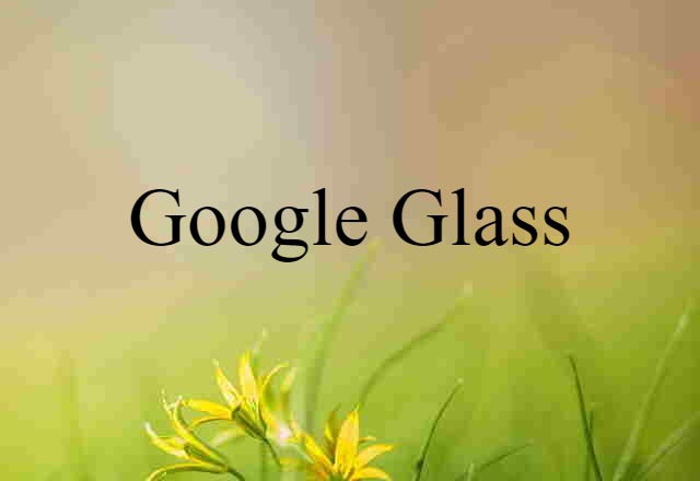 Google Glass