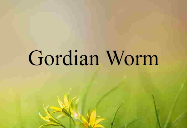 gordian worm