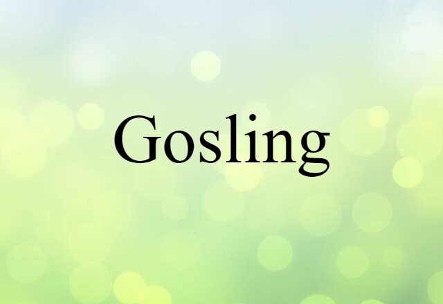 gosling